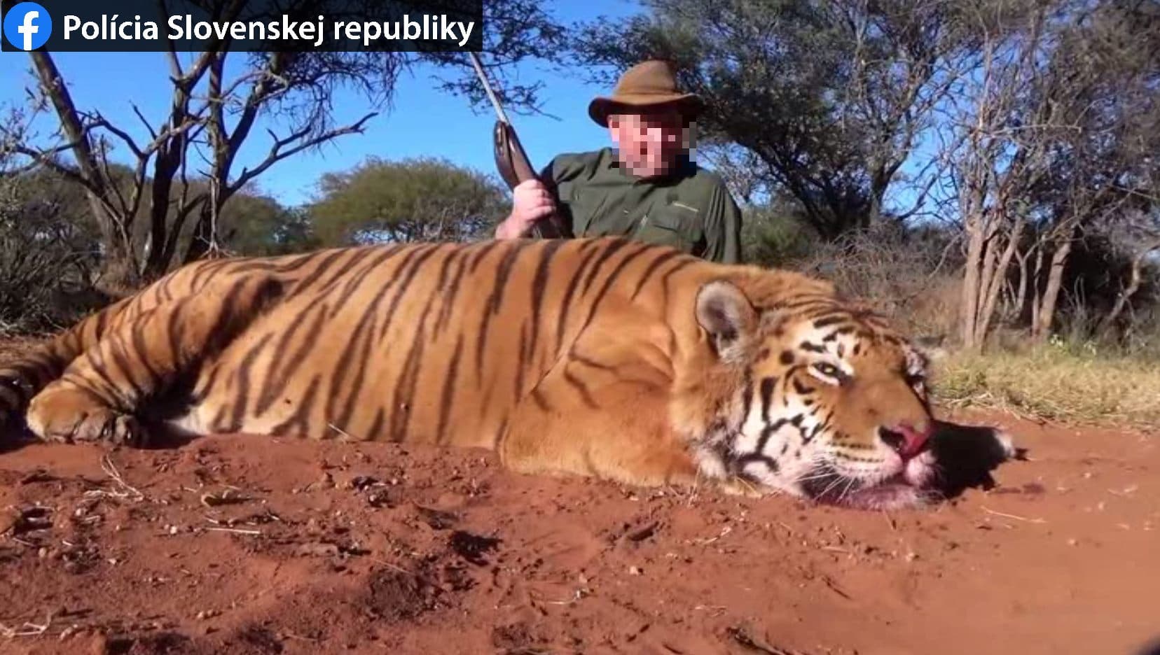 Levadászott egy tigrist a zsigárdi férfi, akár öt évet is kaphat (FOTÓK)