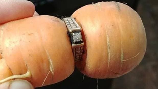 Sárgarépán találták meg a 13 éve elhagyott jegygyűrűt