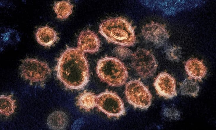 Két héten belül tetőzhet a koronavírus-járvány Nagy-Britanniában