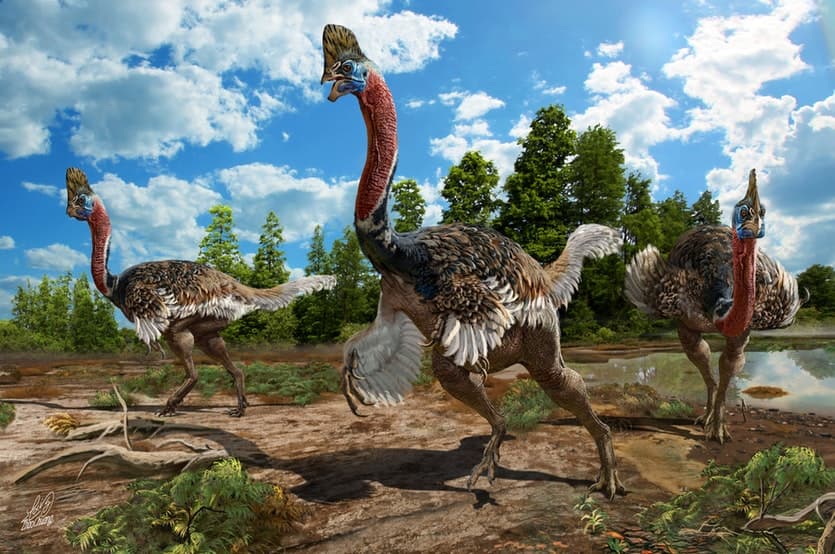 Új dinoszauruszfaj maradványait fedezték fel