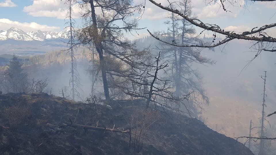 Erdőtűzzel küzd több mint száz tűzoltó, közel 10 hektáros területen lángol az erdő! (FOTÓK)