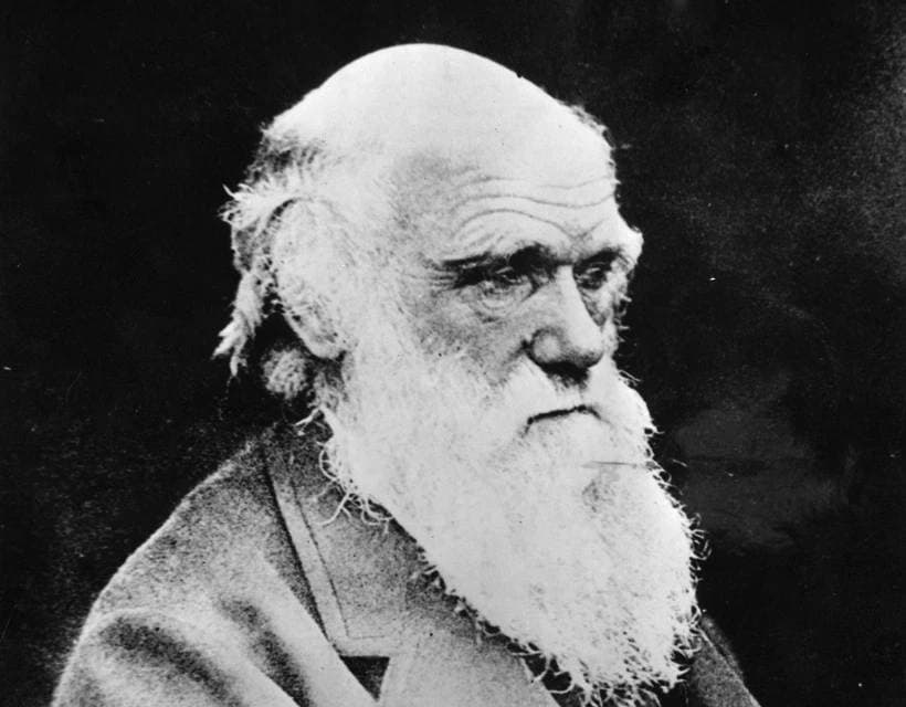 Rekordáron kelt el Darwin egy aláírt kézirata