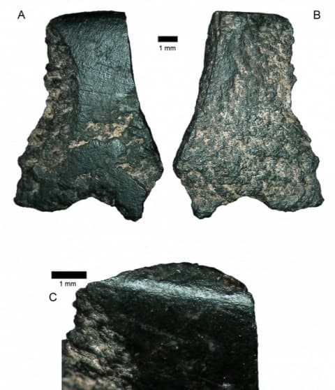 Ötvenezer éves kőbaltára bukkantak