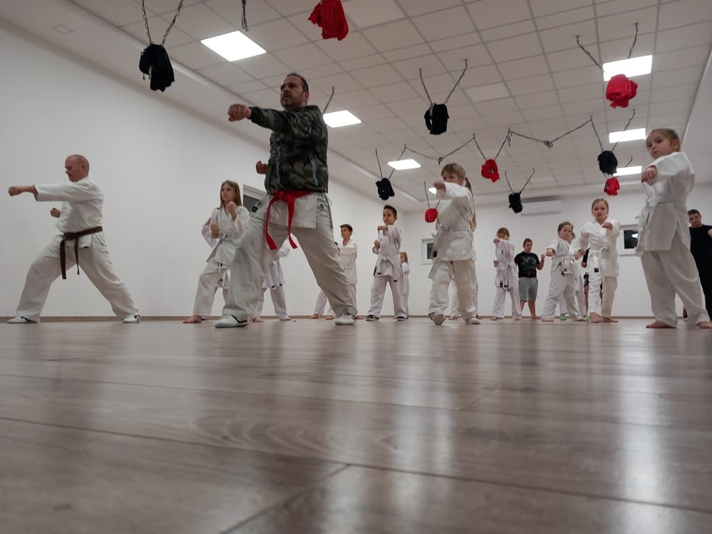 A hodosi karateklub kilenc tagja jutott ki a nagyváradi Európa-bajnokságra