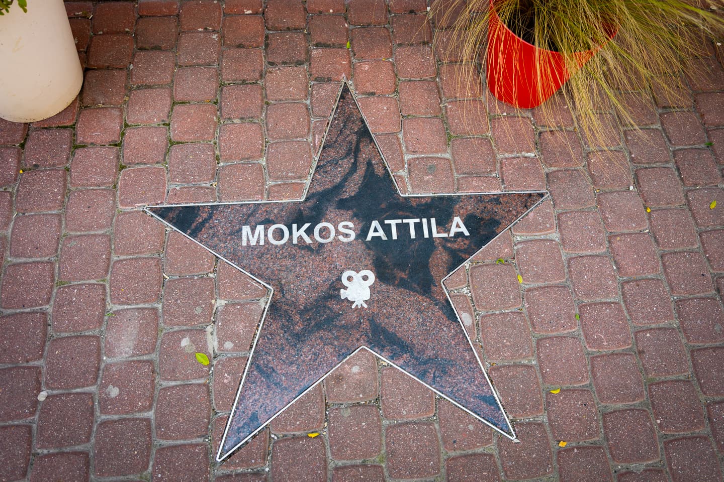 Elnézést kértek Mokos Attilától, akinek a neve már helyesen szerepel a komáromi Hírességek sétányán