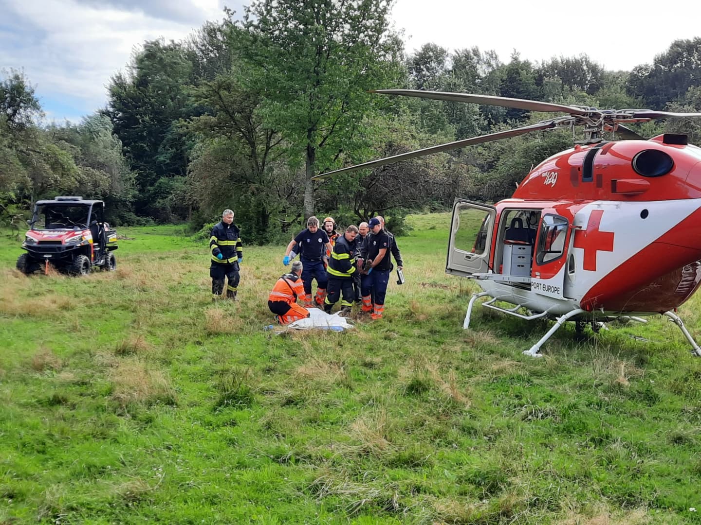 Medvetámadás ért egy nőt gombászás közben, mentőhelikopterrel szállították kórházba