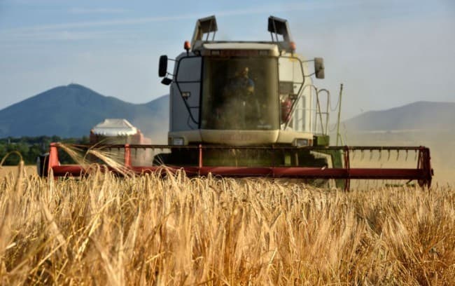 Gyenge a gabonafélék terméshozama idén Szlovákiában