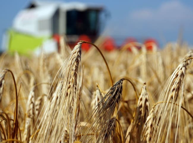 A szlovák mezőgazdaság nyereséggel zárta a múlt évet
