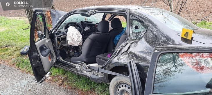 A Renault sofőrje az autójával fának csapódott - nem élte túl az ütközést