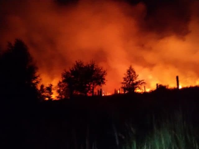 Több mint 70 tűzoltó órákon át küzdött a lángokkal a Kis-Kárpátokban (FOTÓK)