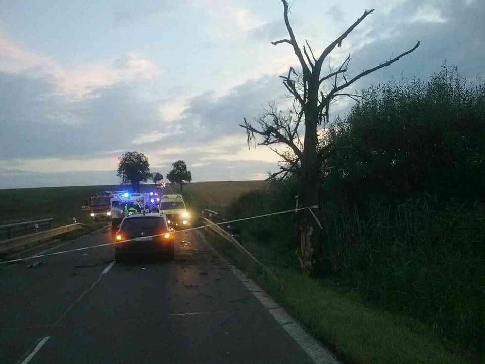 BORZALOM: Fának csapódott az autó, szörnyethalt két fiatal