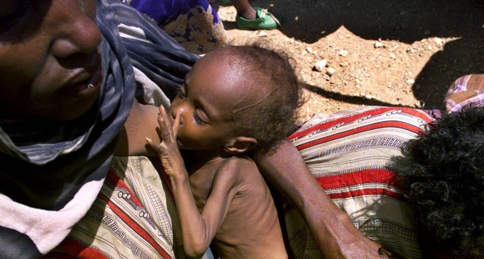 ENSZ: 735 millió ember éhezett tavaly világszerte
