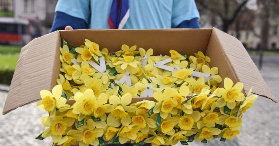 Čaputová: A nárciszok napja a remény napja a rákbetegek számára