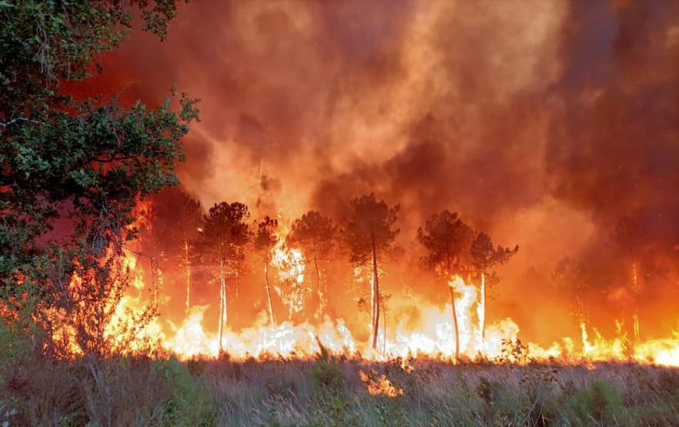 Tovább pusztítanak az erdőtüzek Dél-Európában, nő a hőhullám okozta halálozások száma is