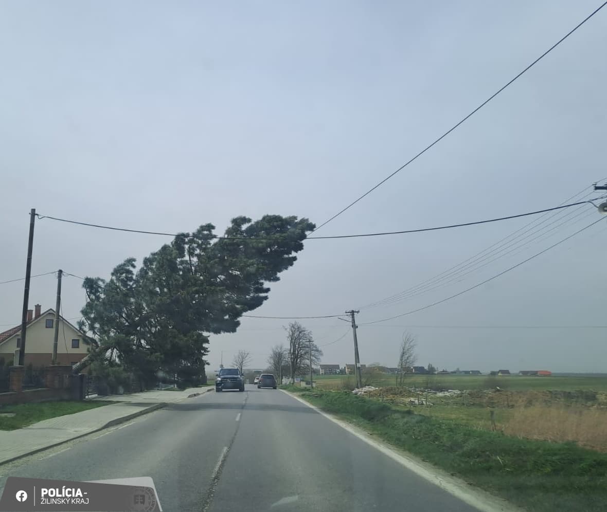 Fákat döntött ki Szlovákiában az erős szél, a szomszédban több ember halálát okozta