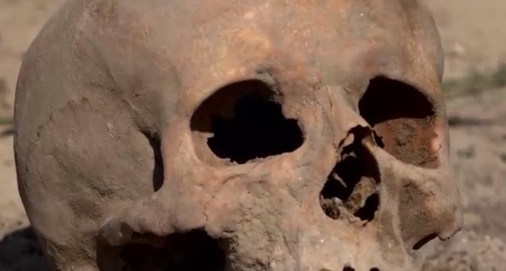 Emberi csontokra bukkantak egy mezőn Galánta közelében