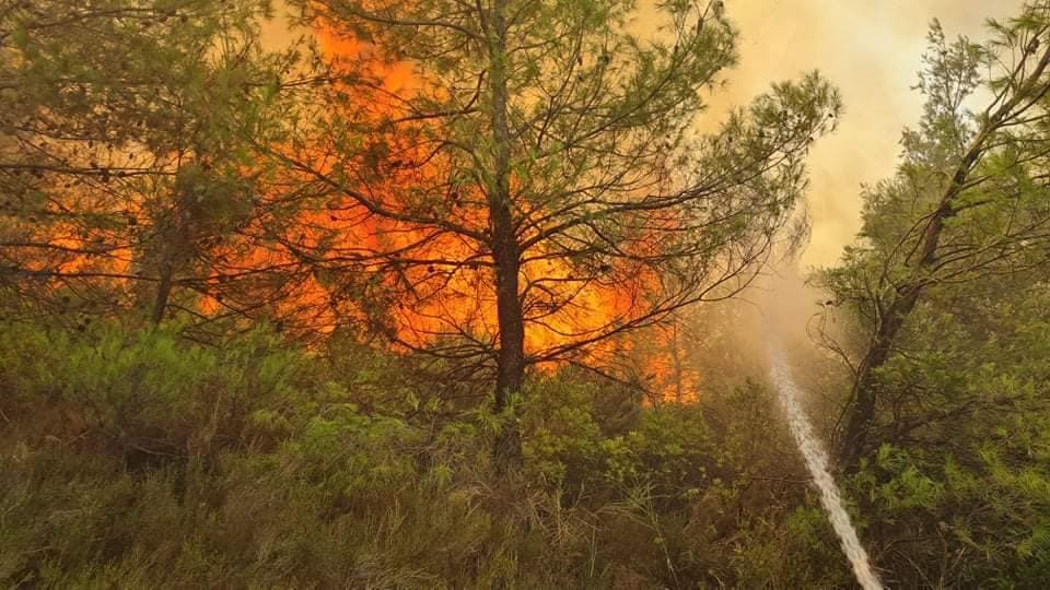 Megrázó videókon, ahogy a szlovákiai tűzoltók küzdenek a görögországi erdőtüzekkel