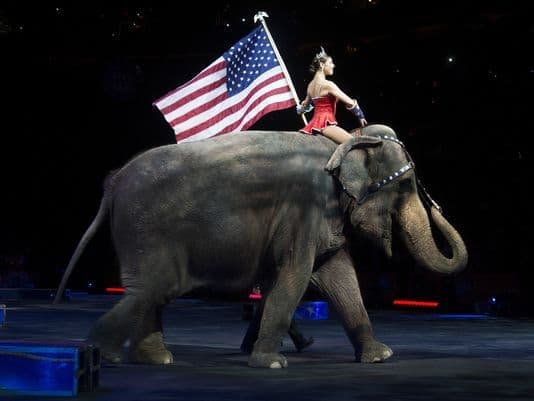 Egy évig bírta állatprodukciók nélkül egy amerikai cirkusz