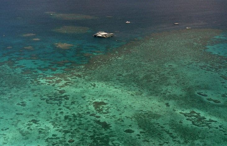Korallpopulációjának felét elveszítette az ausztrál Nagy-korallzátony az 1990-es évek óta