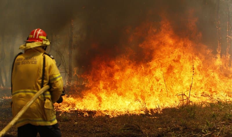 Szükségállapotot hirdettek Ausztrália több államában a tűzvész miatt
