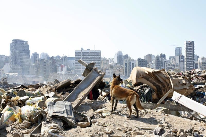 Egy hónappal a robbanás után életjeleket fedeztek fel a mentők a romok alatt Bejrútban