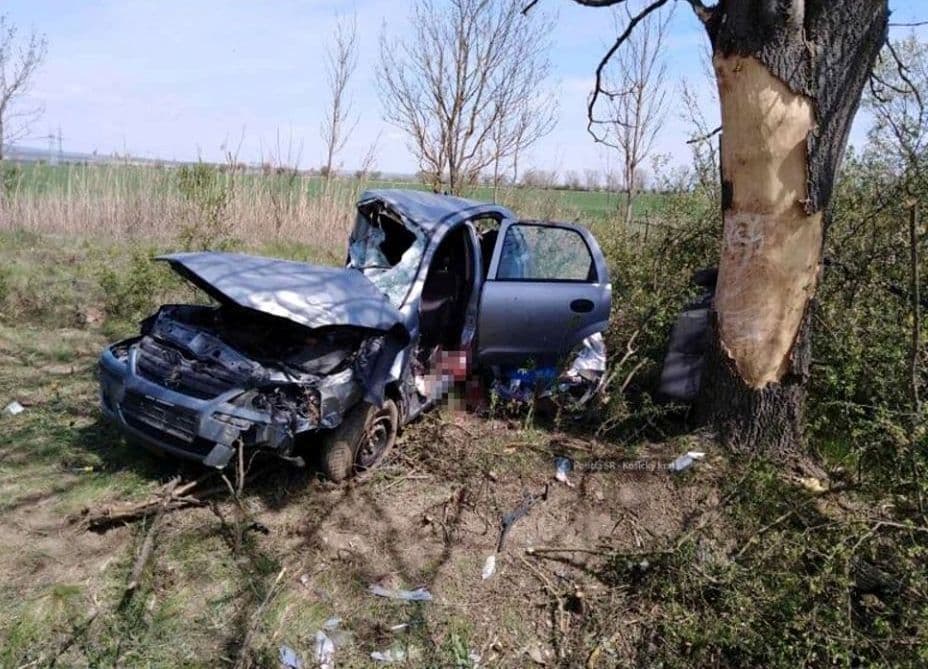 Nekivágódott a fának egy személyautó – egy fiatal férfi meghalt, a sofőr be volt drogozva