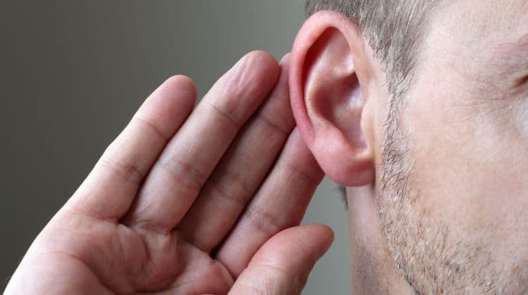 SZENZÁCIÓ: Emberi hallósejteket alkottak