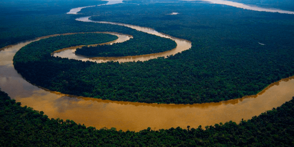 Lassul az erdőirtás az Amazonas brazíliai térségében