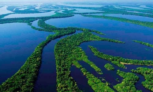 A hadsereg védi az Amazonas környezetét