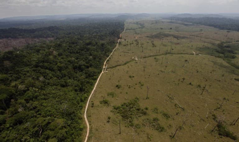 Kétszer annyi esőerdőt vágtak ki januárban Brazíliában, mint egy évvel korábban
