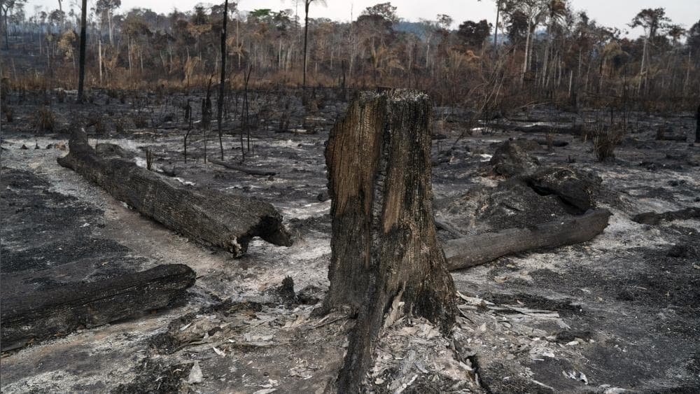 A heves esők eloltották a bolíviai esőerdőket pusztító tüzeket