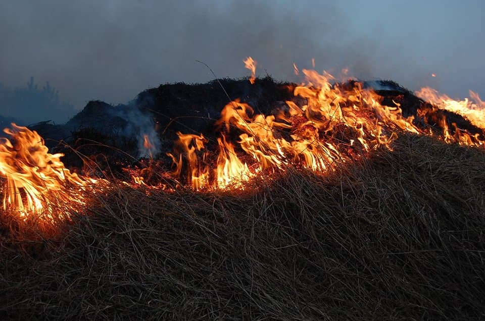 FIGYELEM: Tilos a száraz fű és a kerti hulladék égetése, súlyos büntetés jár a megszegéséért!