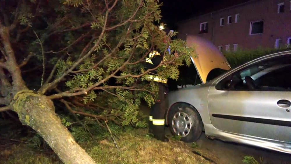 BALESET: Fiatalok rohantak a fának, a sofőr holtrészeg volt
