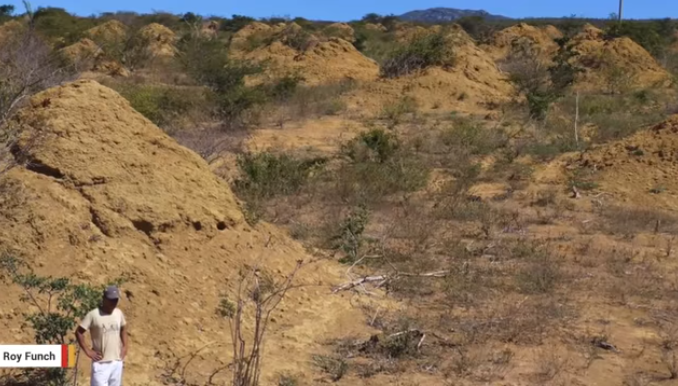 Négyezer éves termeszvárakat találtak Brazíliában