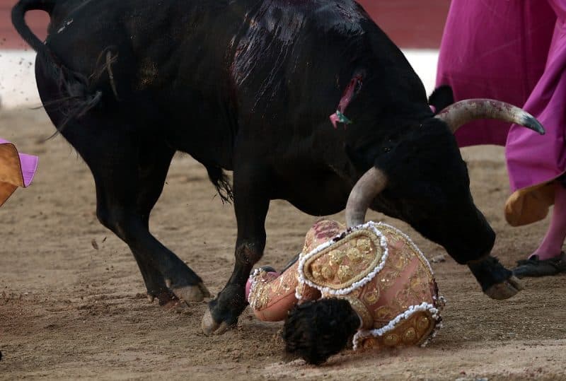 Halálra döfte a bika a híres matadort