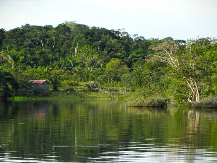 Illegális magántulajdonban van az Amazonas brazíliai esőerdeinek negyede