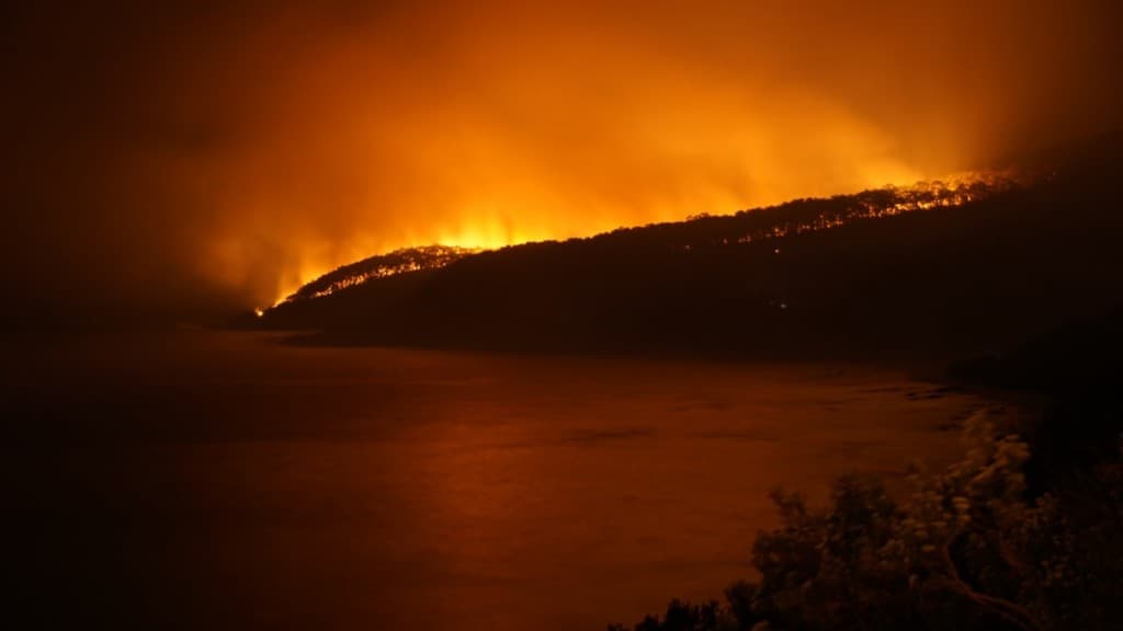 Szükséghelyzetet hirdettek Új-Dél-Walesben a bozóttüzek és a hőség miatt