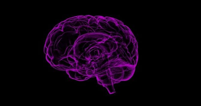 Ausztrál kutatók áttörést értek el az Alzheimer-kór tanulmányozásában