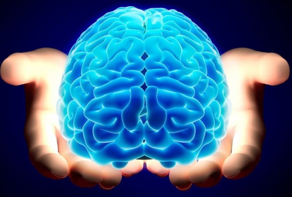 Az agy gyógyulását segítő új idegsejttípust fedeztek fel