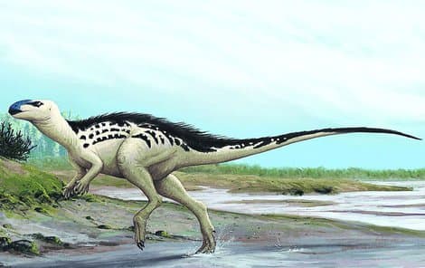 Ismeretlen dinoszauruszé a Csehországban talált lelet