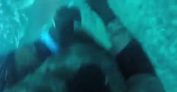 Videón, ahogy a merész srácba beleharap a cápa