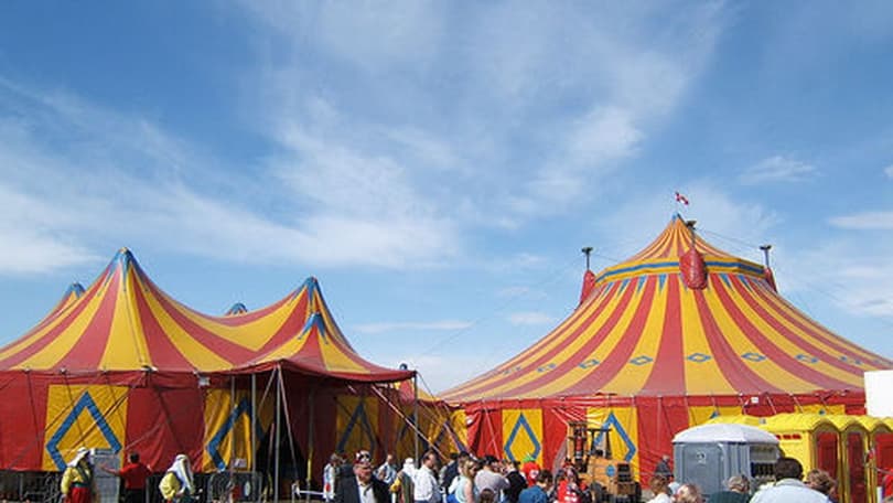 Nagyragadozók ürülékéből jut pénzhez egy, a járvány miatt bevétel nélkül maradt német cirkusz