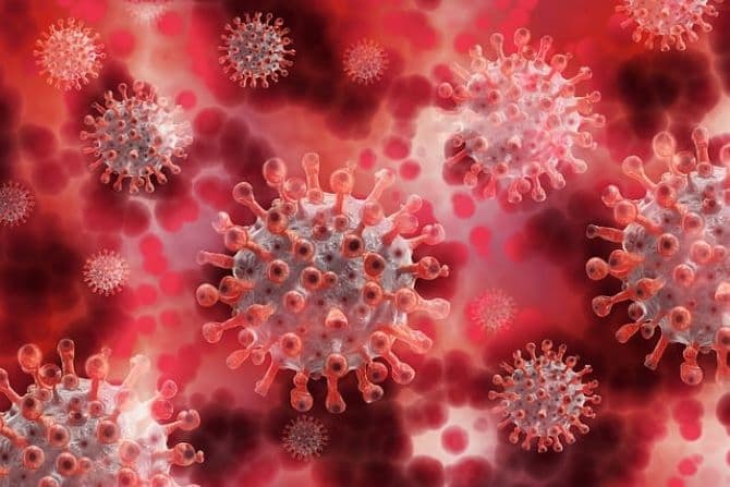 A kínai Vuhan piacának nyestkutyáira utalnak a koronavírus-világjárvány eredetét kutatók új adatai