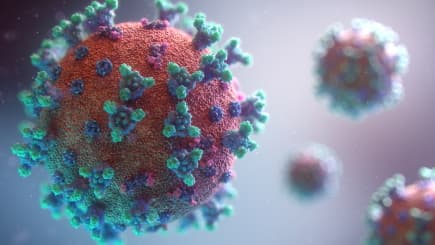 Nincs újabb halálos áldozat, 49-cel nőtt a koronavírus-fertőzöttek száma Magyarországon