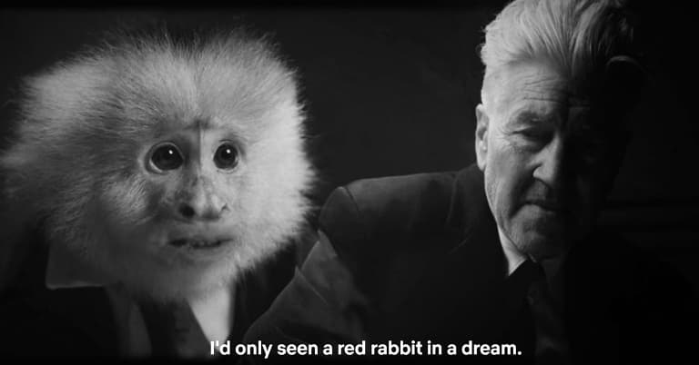 David Lynch egy beszélő majmot vallat a Netflixre készített rövidfilmjében