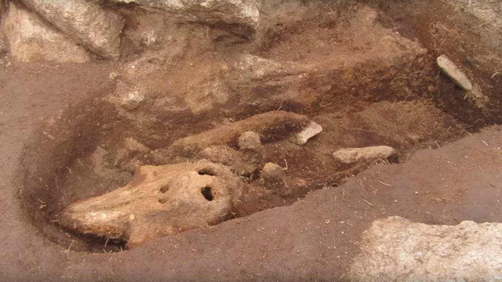 Elképedtek a régészek attól, amit egy középkori sírban találtak (videó)