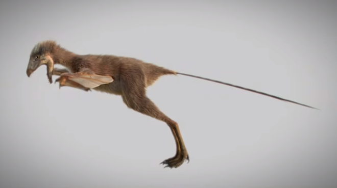 Újfajta, hártyás szárnyakkal rendelkező dinoszaurusz maradványaira bukkantak (VIDEÓ)