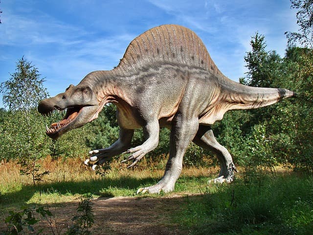 Dinoszaurusz-lábnyomok "kincsesbányájára" bukkantak