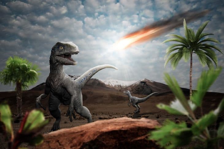 Hirtelen kihalásuk előtt már csökkenni kezdett a dinoszauruszok száma