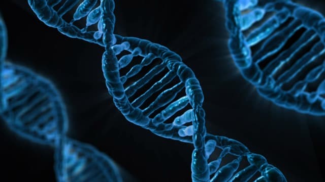 Időskori rák és memóriazavar előrejelzésére alkalmas gént vizsgáltak az ELTE kutatói